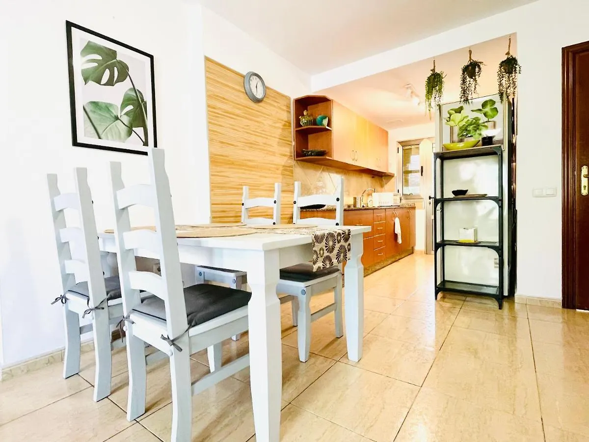 Rooftop Pool Apartment Corralejo Spain